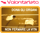 Volontariato